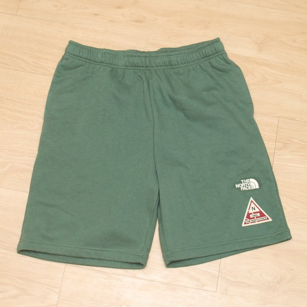 The North Face Men's Nov Shorts in Thyme Size Large